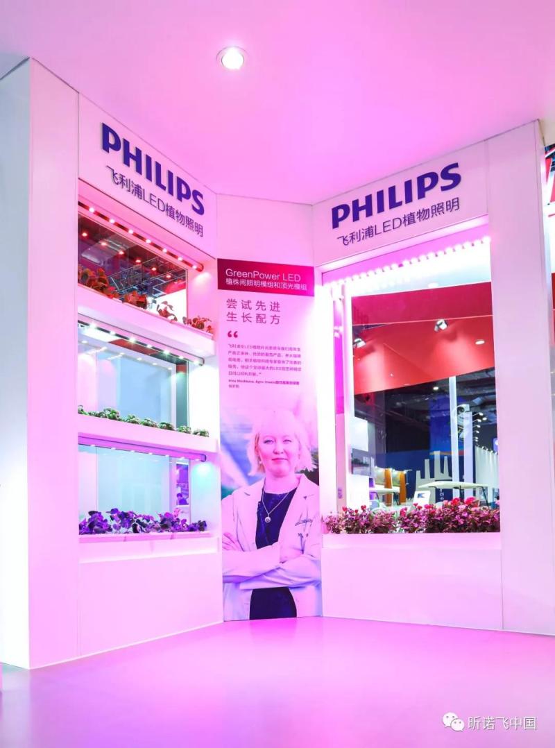 “光”临进博会，解锁昕诺飞“黑科技”