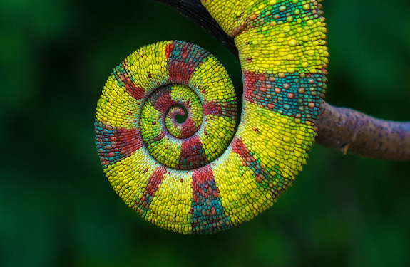 Nanolumi推出业界首款用于量子点显示器的钙钛矿量子点色彩增强膜