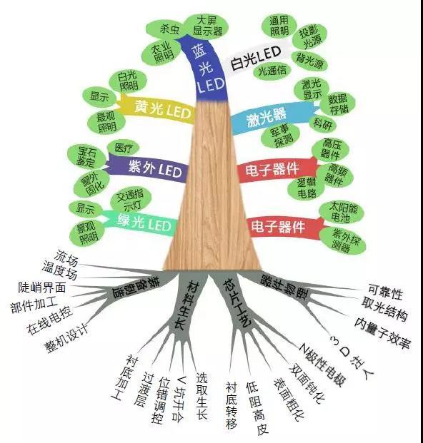 重磅！晶能光电联合创始人江风益教授当选中国科学院院士